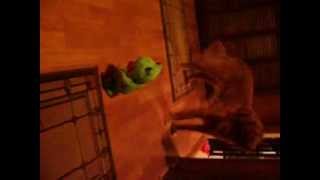 My Balentines Froggy 3