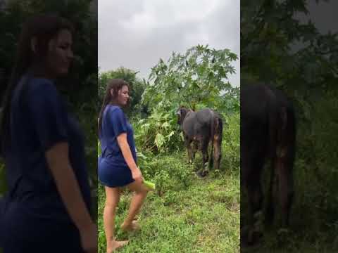 Nobble Styles - Kamuputukezi