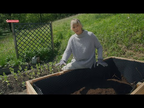 Škola vrtlarstva - kako pravilno pripremiti povišene gredice za uzgoj povrća