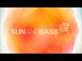 Bryan Gee @ Sun and Bass 2014 [ FULL SET ...