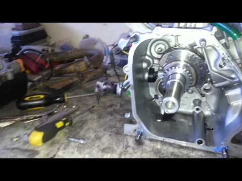 Predator 212 Non-Hemi - Ignition Timing Setup