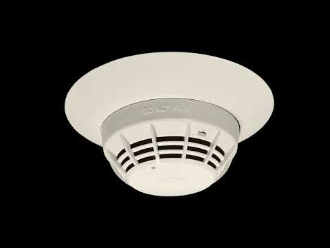 1 hour of silence broken by the smoke alarm chirp