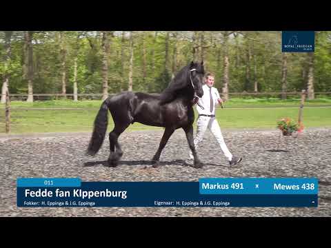 Locatiekeuring 12-5-2021 Dekstation Gaasterland – familie Eppinga