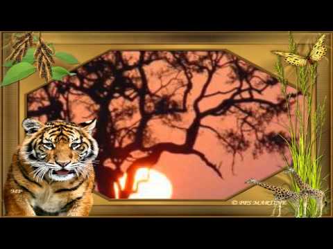 download lagu mp3 mp4 Indianendans Engels, download mp3 Indianendans Engels free download, download mp3 Indianendans Engels