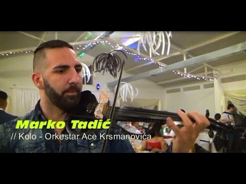 Marko Tadic kolo // orkestar Ace Krsmanovica Uzivo