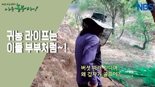 [표고꽃 필 무렵] 일도 취미도 이 부부처럼