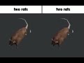 Two Rats