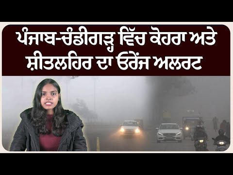 ਪੰਜਾਬ-ਚੰਡੀਗੜ੍ਹ ਵਿੱਚ ਕੋਹਰਾ ਅਤੇ ਸ਼ੀਤਲਹਿਰ ਦਾ ਓਰੇਂਜ ਅਲਰਟ ! ਠੁਰ-ਠੁਰ ਕਰ ਰਹੇ ਪੰਜਾਬੀ