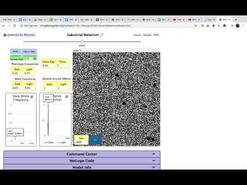 Industrial Melanism Virtual Lab How To Video