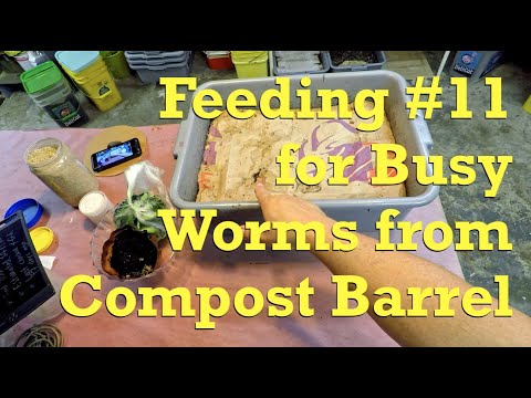 17 days since red wigglers in 143-day worm system last fed - vermicompost