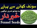 Saunf Khane Ke Fayde aur Nuksan Fennel Seeds saunf benefits سونف सौंफ का बीज Fennel Seed Mehrban A