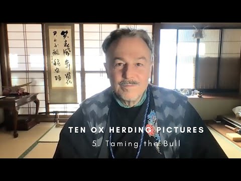 5  Taming the Bull