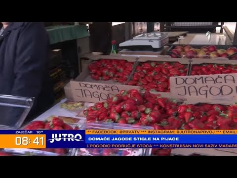 JUTRO - Domaće jagode stigle na pijace! | PRVA