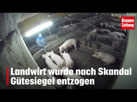 Farmer's quality seal revoked after scandal | krone.tv NEWS