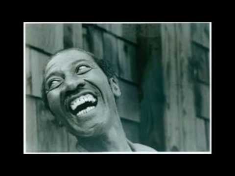 Hound Dog Taylor and The HouseRockers - It Hurts Me Too