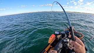 Glass Minnow Feed | Using Epoxy Jigs & Jerkbait Match The Hatch