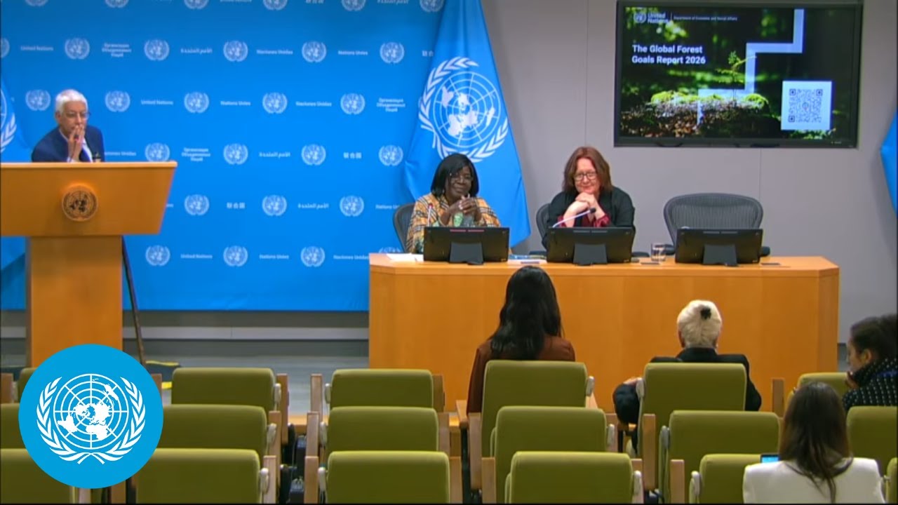 DESA & UNFF on the launch of the Global Forest Goals Report 2026 - Press Conference | United Nations
