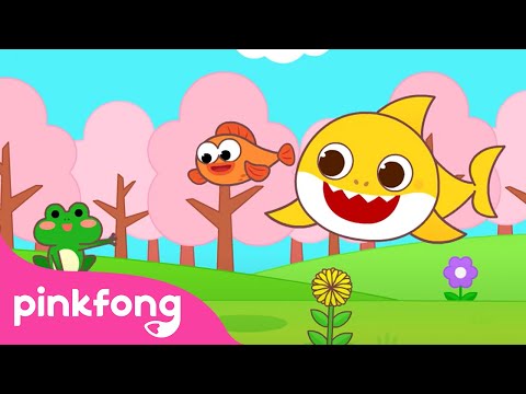 Hello, Spring is Here ???? | Spring Season | Weather for Kids | Spring Songs | Pinkfong Baby Shark