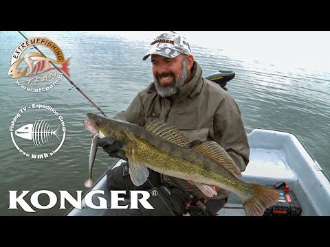 Shad Konger Power Pike 17.5cm Spotted Roach
