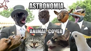 Coffin Dance but it&#39;s sounds like animals [Tony Igy - Astronomia (Animal Cover)]
