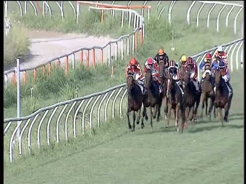 Galoppo 07/07/2019 - 2ª corsa