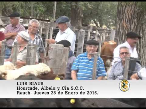 28-01-16 Nota Luis Biaus - Hourcade, Albelo y Cia S.C.C. - Rauch.