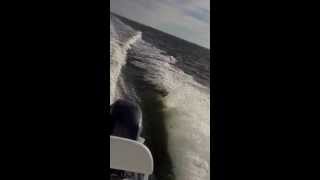 preview picture of video 'New boat ---- Cape Horn at Dauphin Island AL.'