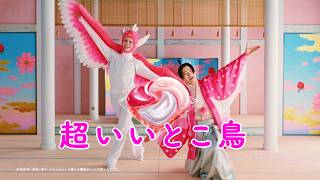 ボールド　洗濯大名　超いいとこ鳥　液体も篇　３６秒