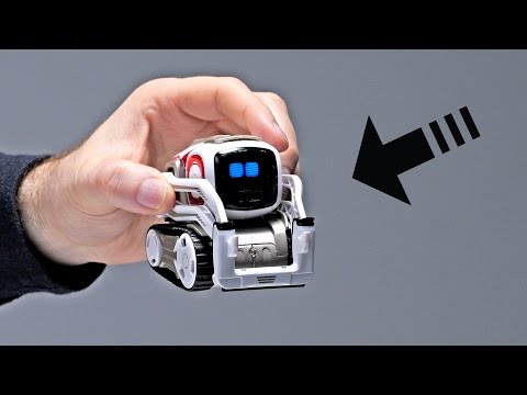 Will This Be Your First Robot?