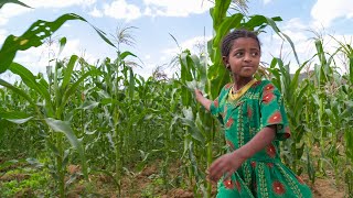 Ethiopia: A Development Story - YouTube