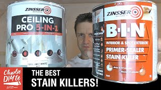 How to Paint over Ceiling and Wall Stains
