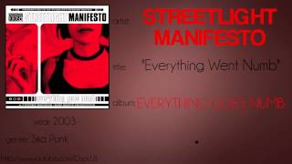 Streetlight Manifesto - Everything Went Numb (synced lyrics)