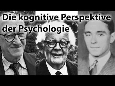 The cognitive perspective of psychology