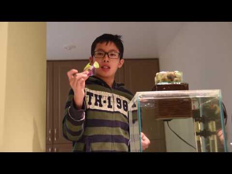 HexBug AquaBot Review