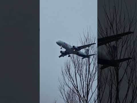 Airbus A320 а/к Уральские авиалинии садится в аэропорту Домодедово!