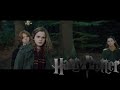 Harry Potter I M Not An Owl Multilanguage