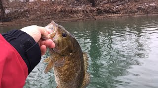 Susquehanna River, Live - 3/10/19