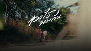 เอาไว้พบกัน Phumin เอาไว้พบกัน Phumin