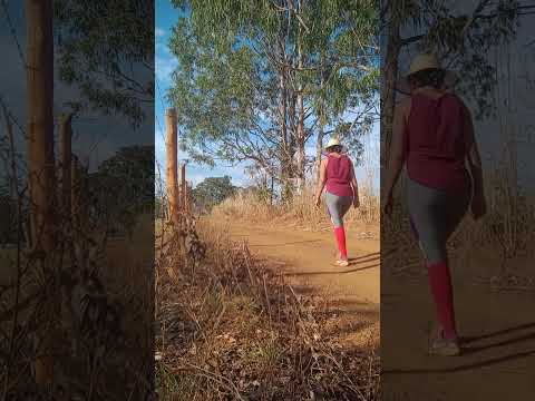 Caminhada sertaneja Comunidade Santa Rita município Vianópolis Goiás Brasil