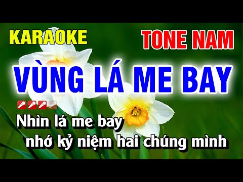 Karaoke Vùng Lá Me Bay Tone Nam - Beat Nhạc Sống Dễ Hát | Nguyễn Linh