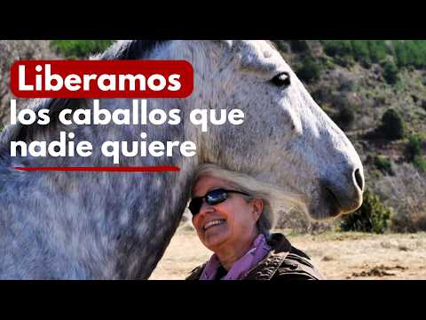 Protectora de caballos: "Para la gente el caballo es un capricho, no un compañero al que ama"