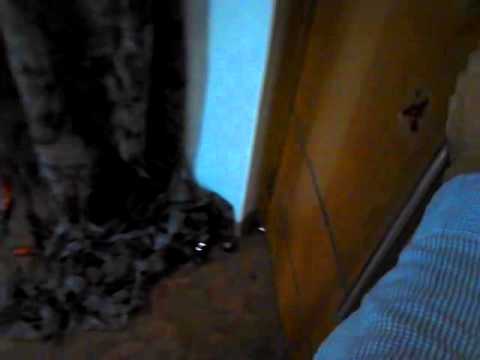 Halloween Raspberry Pi