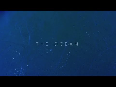 The Ocean - ANNA ARCO