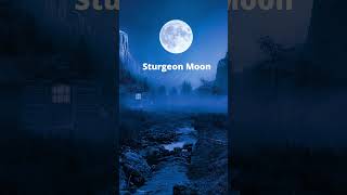 Sturgeon Moon Enchanting Beauty of the August Moon