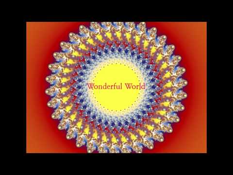 Transparent Walls - Wonderful World