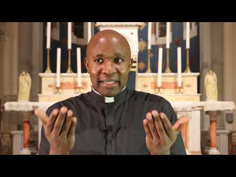 4th Sunday in Ordinary time year A. How to look for Happiness. Homily for 29 January 2023.