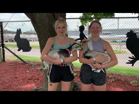 Buchanan County Fair 2022: Dwarf Goat Interview