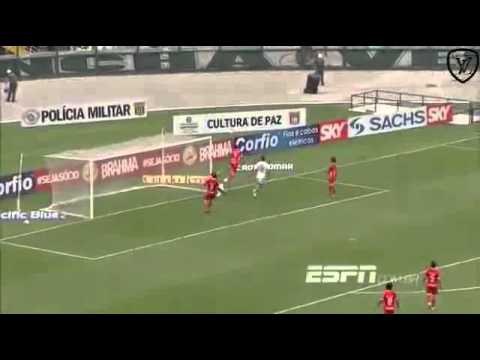 Palmeiras 0 X 0 América RN - 2 Turno - Campeonato Brasileiro Série B 2013 - Jogo 5585
