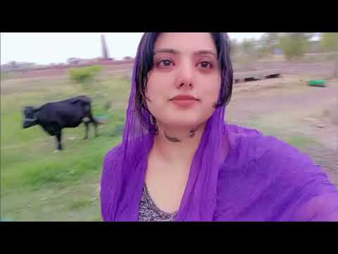 Stray Cats Deserve Kindness   Treat Day at the Shelter 🐾 😾