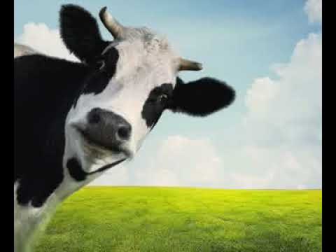 Espionage Ft. Scott Bluntz, Majestic & Spit-Tacular - Slaughter Of The Day